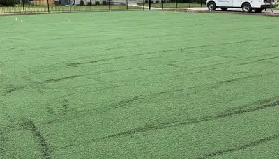 Fresh hydroseed slurry coating newly prepped lawn by Chop Chop Landscaping in Oak Park, IL