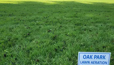 Post-aeration lawn recovery showing healthy new grass growth in Oak Park, IL by professional landscapers
