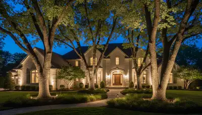 Mature trees with professional uplighting at night by Chop Chop Landscaping in Oak Park, IL