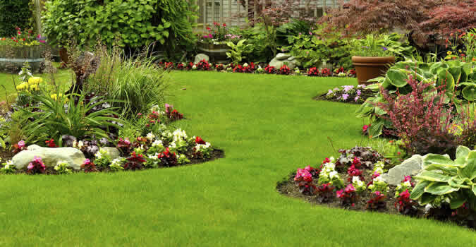 Alhambra Professional Landscaping Services thumbnail